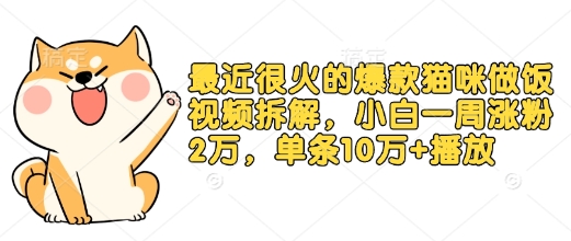 最近很火的爆款猫咪做饭视频拆解，小白一周涨粉2万，单条10万+播放(附保姆级教程)-搞钱日记