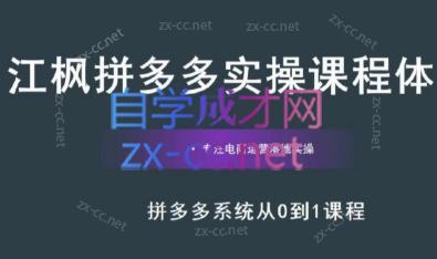 江枫老师·拼多多实操课程-搞钱日记
