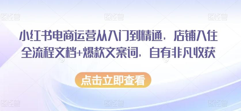 小红书电商运营从入门到精通，店铺入住全流程文档+爆款文案词，自有非凡收获-搞钱日记