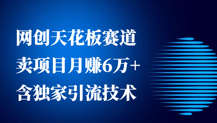 网创天花板赛道，卖项目月赚6万+，含独家引流技术(共26节课)-搞钱日记