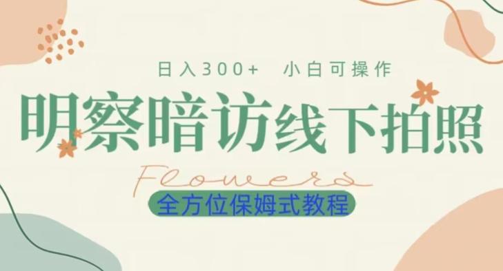 明拍暗拍项目0成本投入日入300+小白可操作保姆式全方位教程-搞钱日记