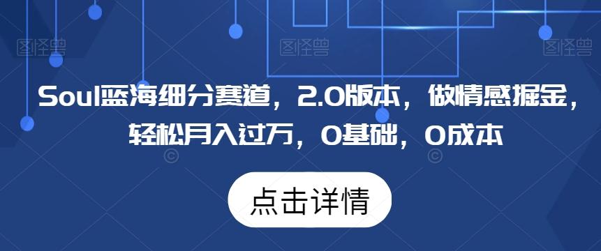 Soul蓝海细分赛道，2.0版本，做情感掘金，轻松月入过万，0基础，0成本-搞钱日记