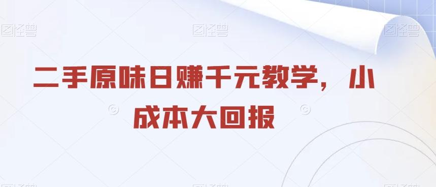 二手原味日赚千元教学，小成本大回报-搞钱日记