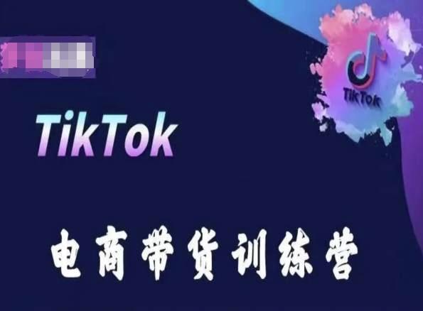 TikTok电商带货训练营，跟随时代潮流，跨境掘金-搞钱日记