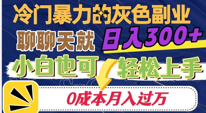 冷门暴利的副业项目，聊聊天就能日入300+，0成本月入过万【揭秘】-搞钱日记