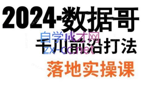数据哥·2024年千川前沿打法落地实操课-搞钱日记
