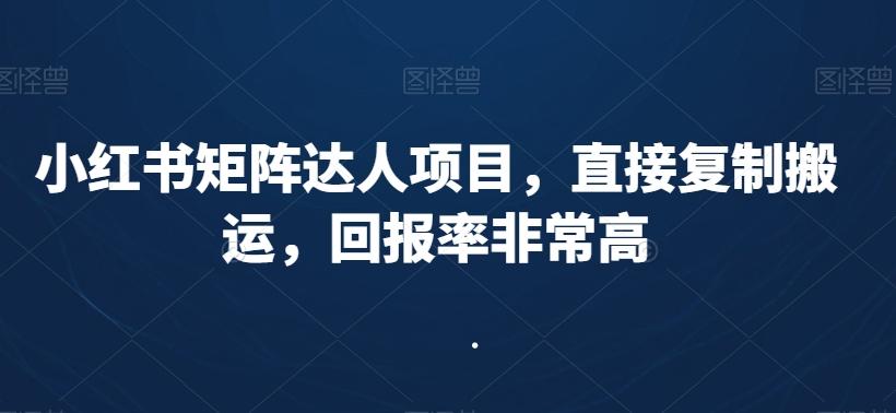 小红书矩阵达人项目，直接复制搬运，回报率非常高-搞钱日记