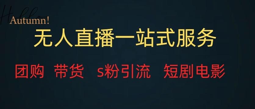 无人直播一站式服务（教程以及变现方式）-搞钱日记