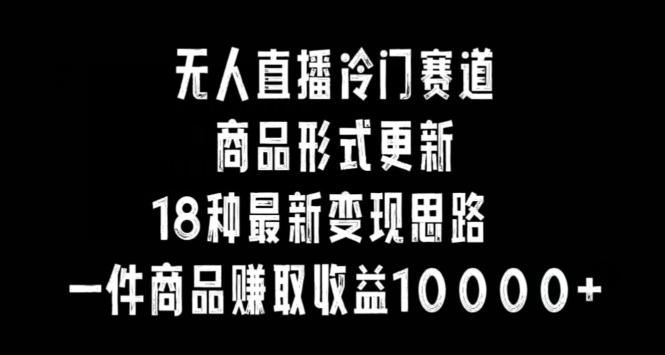 无人直播冷门赛道，商品形式更新，18种变现思路，一件商品赚取收益10000+【揭秘】-搞钱日记