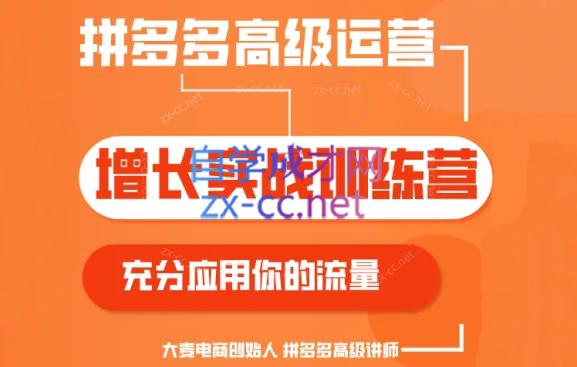 大麦老师·拼多多单品爆款打造课程(更新6月)-搞钱日记