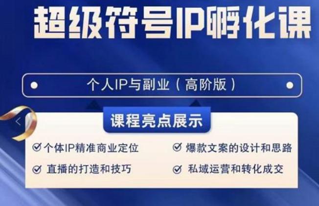 超级符号IP孵化高阶课，建立流量思维底层逻辑，打造属于自己IP（51节课）-搞钱日记