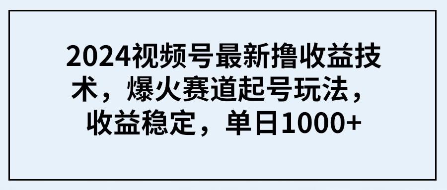 (9651期) 2024视频号最新撸收益技术，爆火赛道起号玩法，收益稳定，单日1000+-搞钱日记