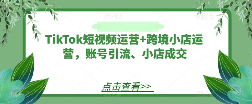 TikTok短视频运营+跨境小店运营，账号引流、小店成交-搞钱日记