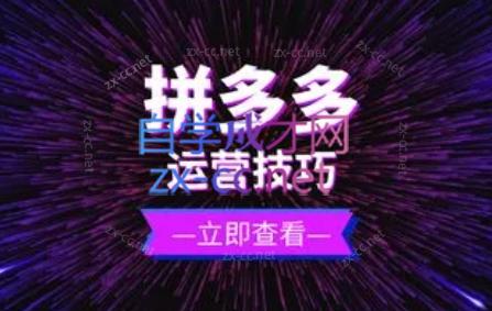 力辛电商·拼多多强付费店群玩法-搞钱日记