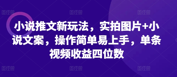 小说推文新玩法，实拍图片+小说文案，操作简单易上手，单条视频收益四位数-搞钱日记