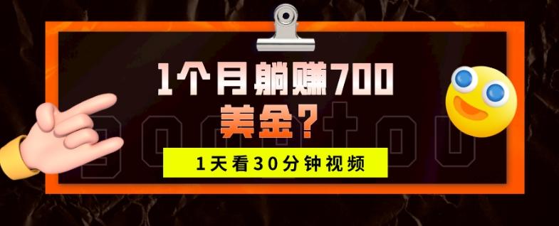 1天看30分钟视频，1个月躺赚700美金？-搞钱日记