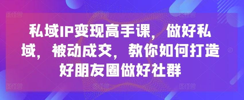 私域IP变现高手课，做好私域，被动成交，教你如何打造好朋友圈做好社群-搞钱日记