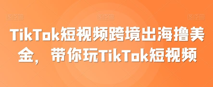 TikTok短视频跨境出海撸美金，带你玩TikTok短视频-搞钱日记