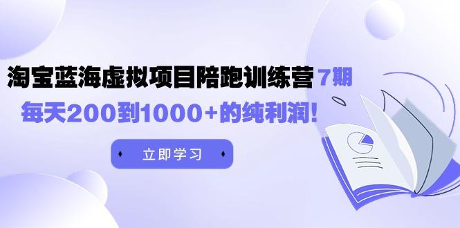 (9541期)黄岛主《淘宝蓝海虚拟项目陪跑训练营7期》每天200到1000+的纯利润-搞钱日记