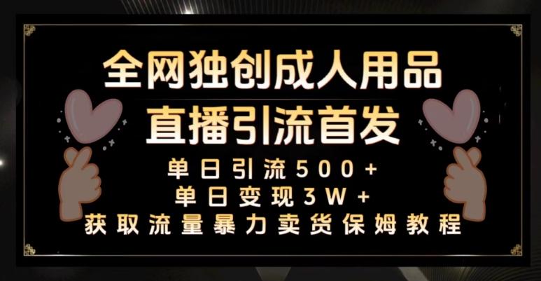 全网独创真人主播+无人直播单日引流500+，橙人用品暴力卖货单日变现3W+保姆似教学2.0【揭秘】-搞钱日记