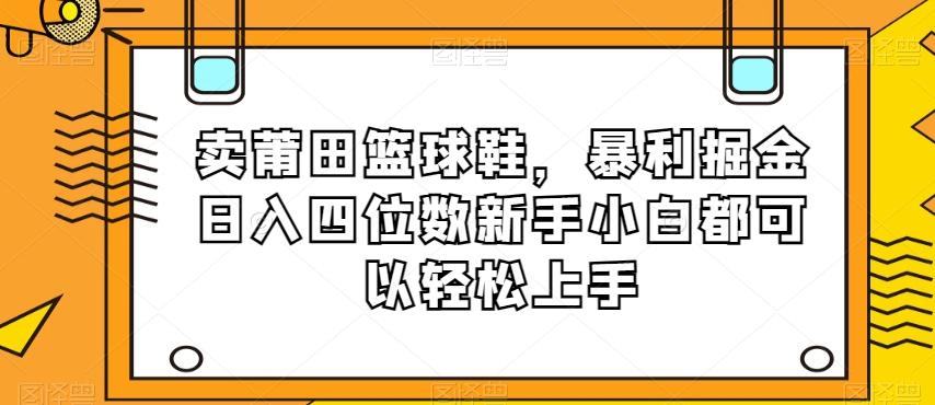 卖莆田篮球鞋，暴利掘金日入四位数新手小白都可以轻松上手【揭秘】-搞钱日记