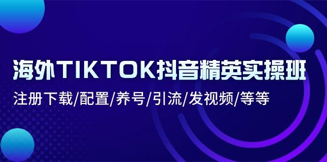 海外TIKTOK抖音精英实操班：注册下载/配置/养号/引流/发视频/等等-搞钱日记
