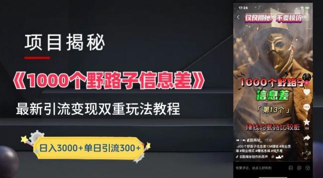 一千个野路子信息差最新玩法教程-变现+引流的玩法具体拆解【揭秘】-搞钱日记