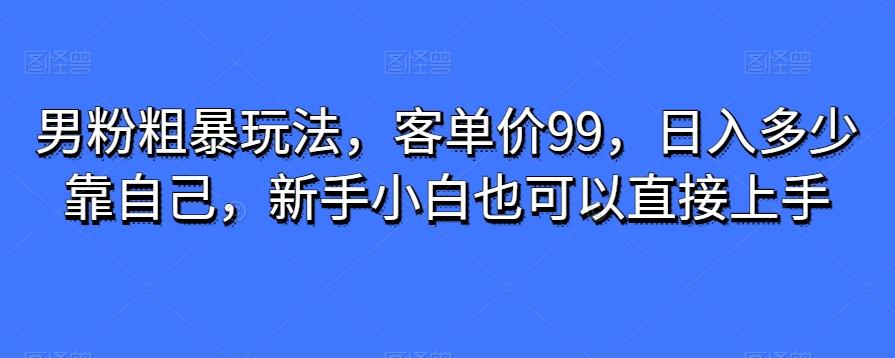 男粉粗暴玩法，客单价99，日入多少靠自己，新手小白也可以直接上手-搞钱日记