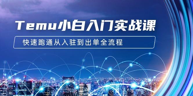 (9295期)Temu小白入门实战课：跨境拼多多电商培训 快速跑通从入驻到出单全流程-12节-搞钱日记