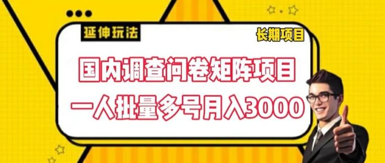 国内调查问卷矩阵项目，一人批量多号月入3000【揭秘】-搞钱日记