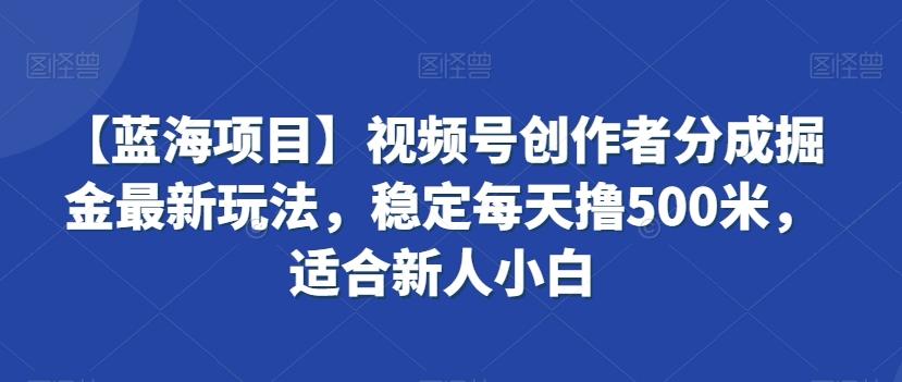 【蓝海项目】视频号创作者分成掘金最新玩法，稳定每天撸500米，适合新人小白【揭秘】-搞钱日记