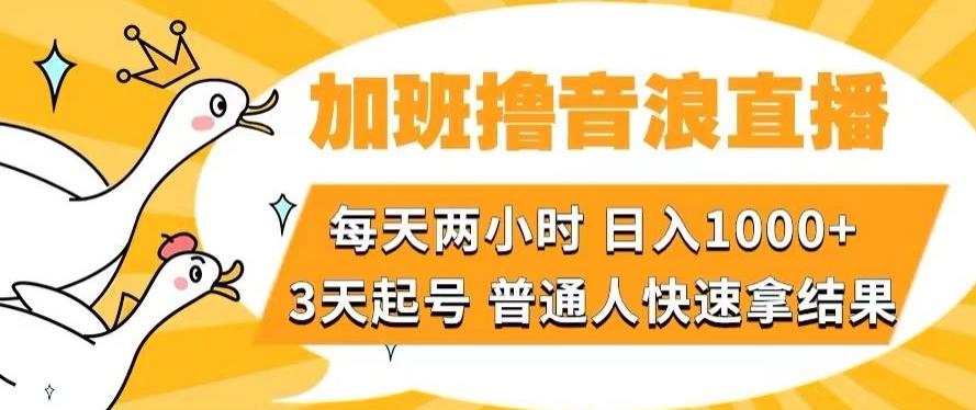 加班撸音浪直播，每天两小时，日入1000+，直播话术才3句，3天起号，普通人快速拿结果【揭秘】-搞钱日记
