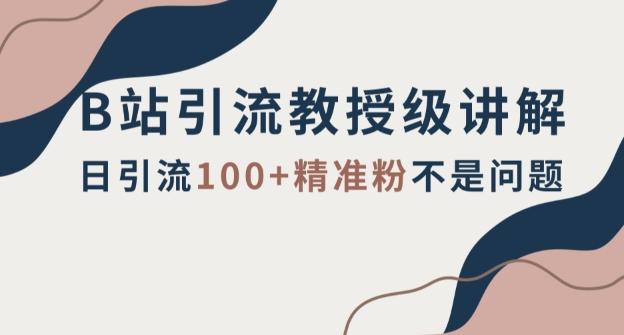 B站引流教授级讲解，细节满满，日引流100+精准粉不是问题【揭秘】-搞钱日记