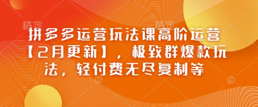 拼多多运营玩法课高阶运营【2月更新】，极致群爆款玩法，轻付费无尽复制等-搞钱日记