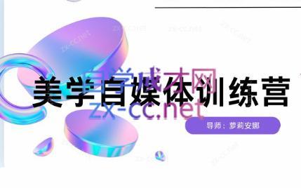 安娜·美学自媒体IP系统课-搞钱日记