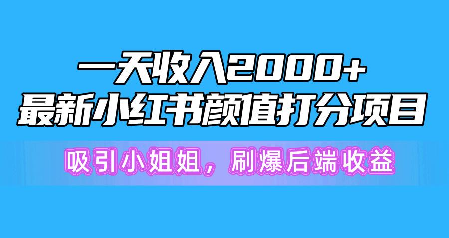 一天收入2000+，最新小红书颜值打分项目，吸引小姐姐，刷爆后端收益-搞钱日记