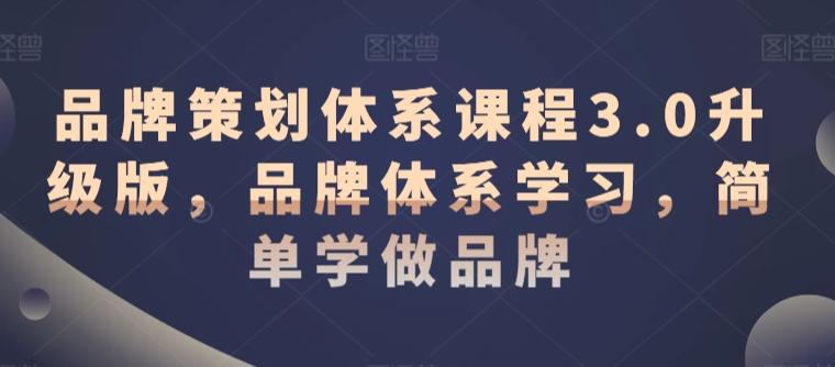 品牌策划体系课程3.0升级版，品牌体系学习，简单学做品牌-搞钱日记