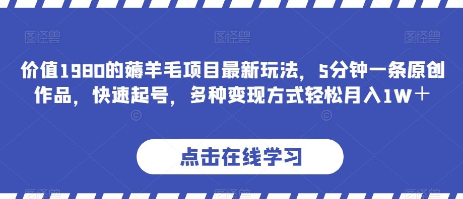 价值1980的薅羊毛项目最新玩法，5分钟一条原创作品，快速起号，多种变现方式轻松月入1W＋【揭秘】-搞钱日记