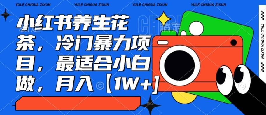 小红书养生花茶，冷门暴力项目，最适合小白做，月入【1W+】-搞钱日记