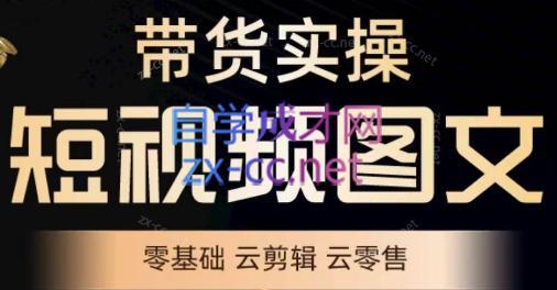 鑫哥·2024零基础短视频带货实操营-搞钱日记