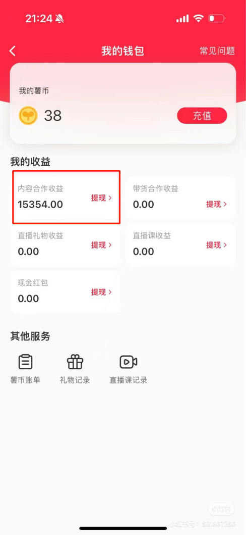 热门评论引爆小红书流量，作品制作简单，广告接到手软，月入过万不是梦-搞钱日记