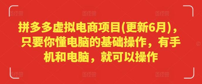 拼多多虚拟电商项目(更新6月)，只要你懂电脑的基础操作，有手机和电脑，就可以操作-搞钱日记