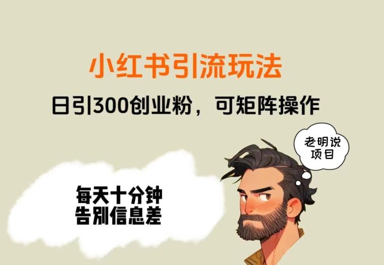 靠小红书视频日印300粉，两分钟一个视频轻松矩阵-搞钱日记