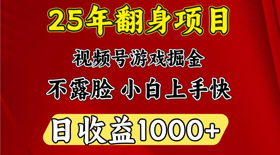 一天收益1000+ 25年开年落地好项目-搞钱日记