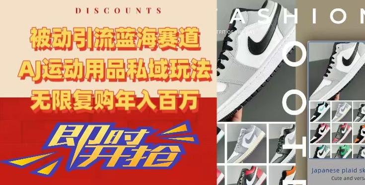 被动引流蓝海赛道，AJ运动用品私域玩法，无限复购年入百万【揭秘】-搞钱日记