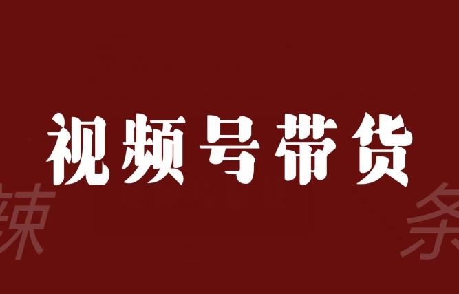 视频号带货联盟，赚信息差的带货钱，只需手机随时随地都可以做！-搞钱日记
