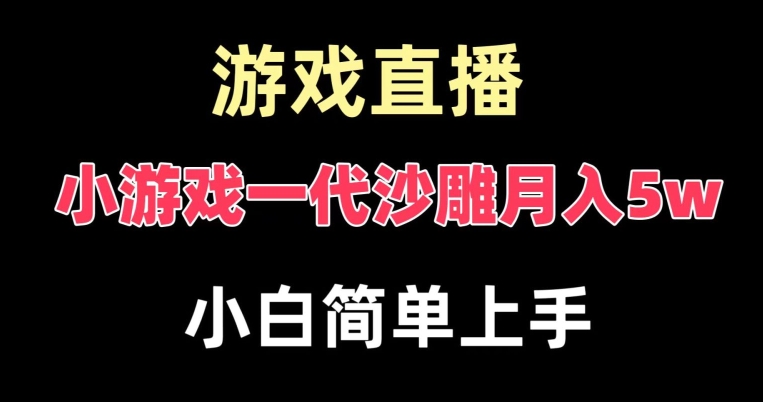玩小游戏一代沙雕月入5w，爆裂变现，快速拿结果，高级保姆式教学【揭秘】-搞钱日记