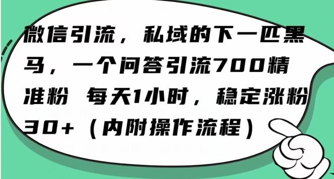 怎么搞精准创业粉？微信新赛道，每天一小时，利用Ai一个问答日引100精准粉-搞钱日记