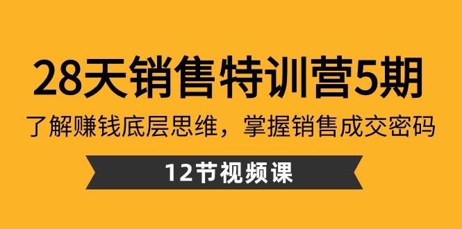 28天销售特训营5期：了解赚钱底层思维，掌握销售成交密码（12节课）-搞钱日记
