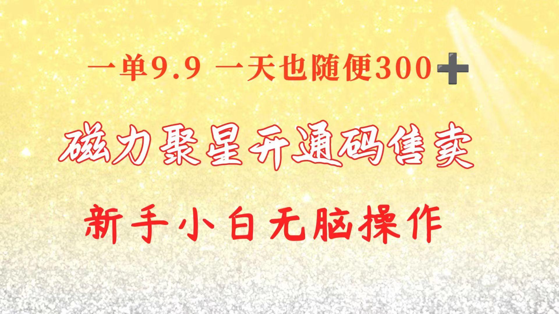 快手磁力聚星码信息差 售卖  一单卖9.9  一天也轻松300+ 新手小白无脑操作-搞钱日记
